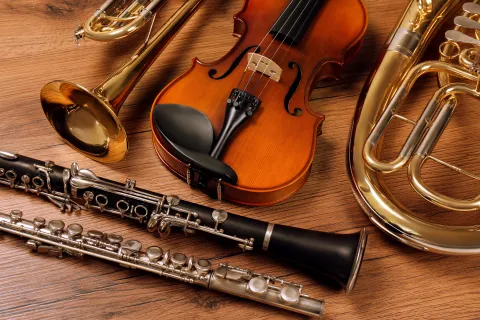 Several chamber instrument laid out on a table.